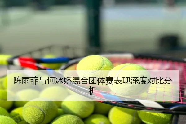 chen-yu-fei-yu-he-bing-jiao-hun-he-tuan-ti-sai-biao-xian-shen-du-dui-bi-fen-xi-2-374.jpg